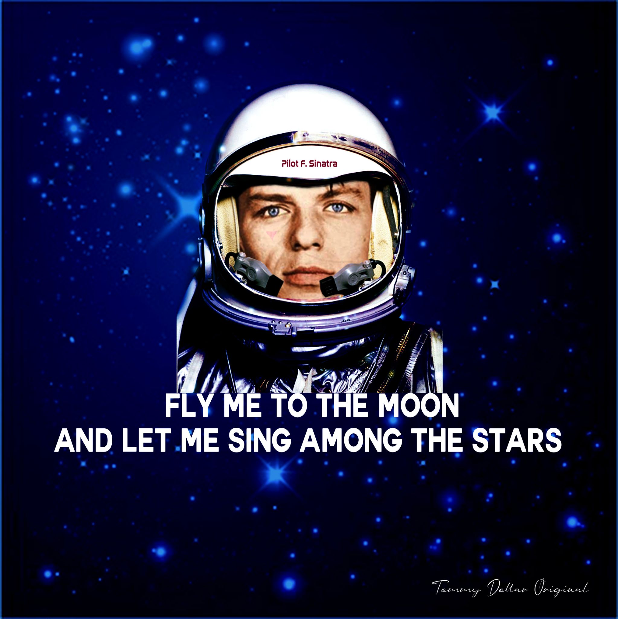 Fly me to the moon